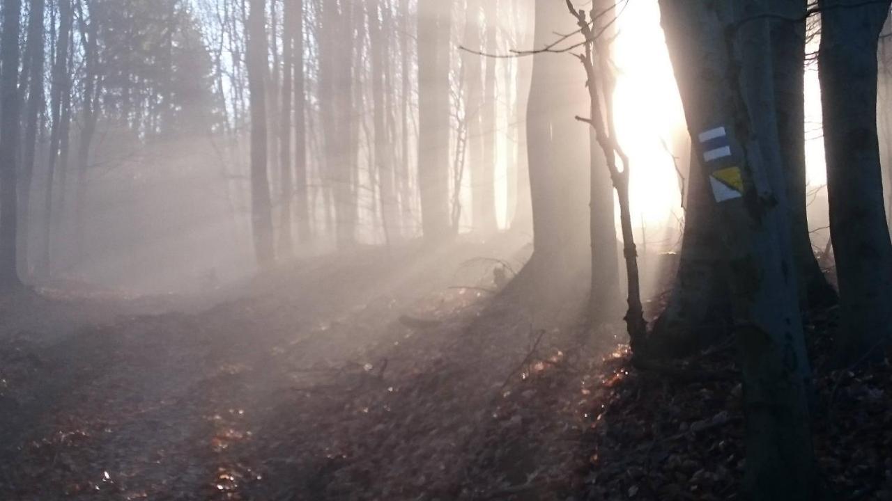 Nature Homestay Trenčín Eksteriør billede