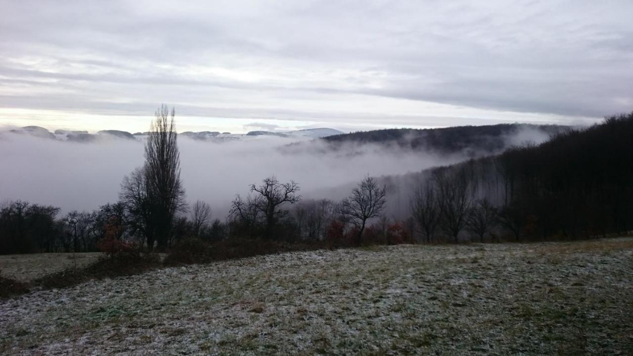Nature Homestay Trenčín Eksteriør billede