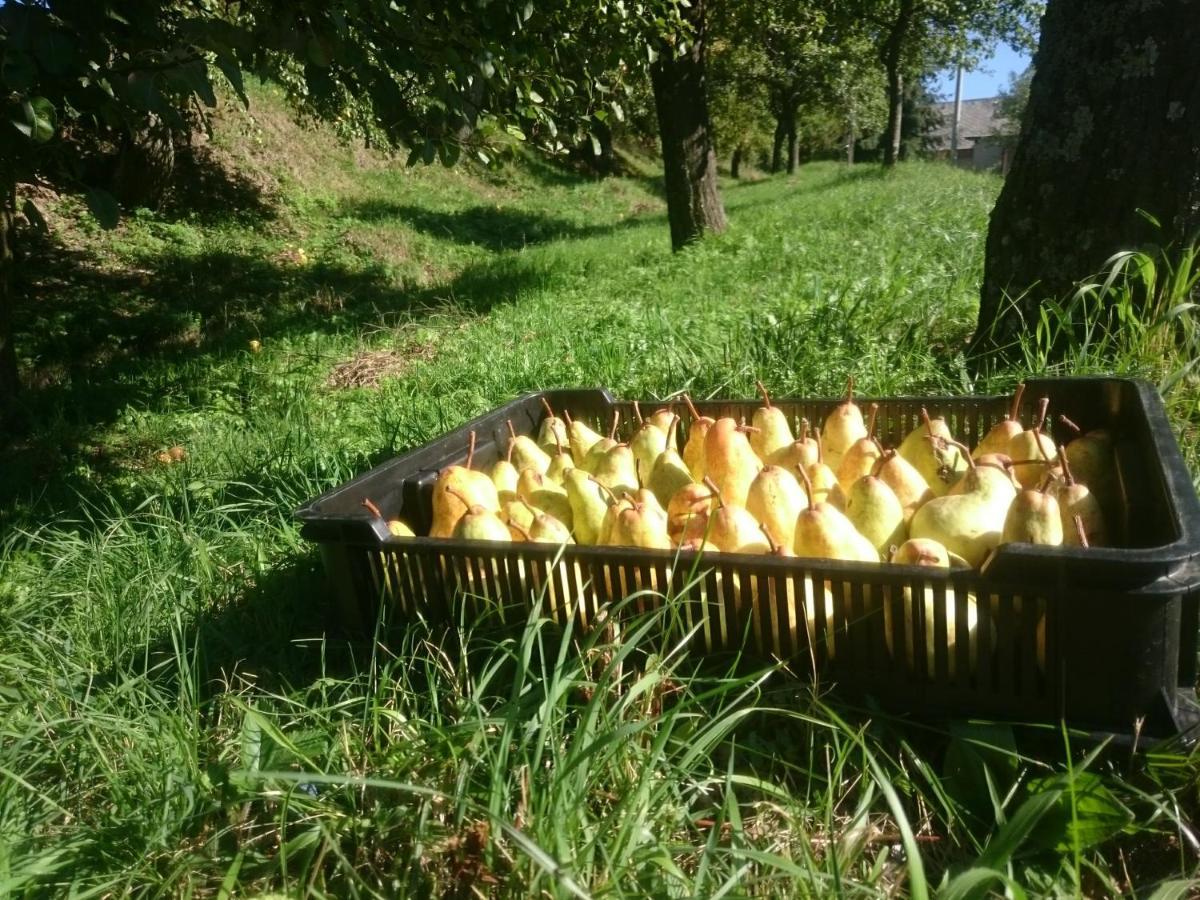 Nature Homestay Trenčín Eksteriør billede