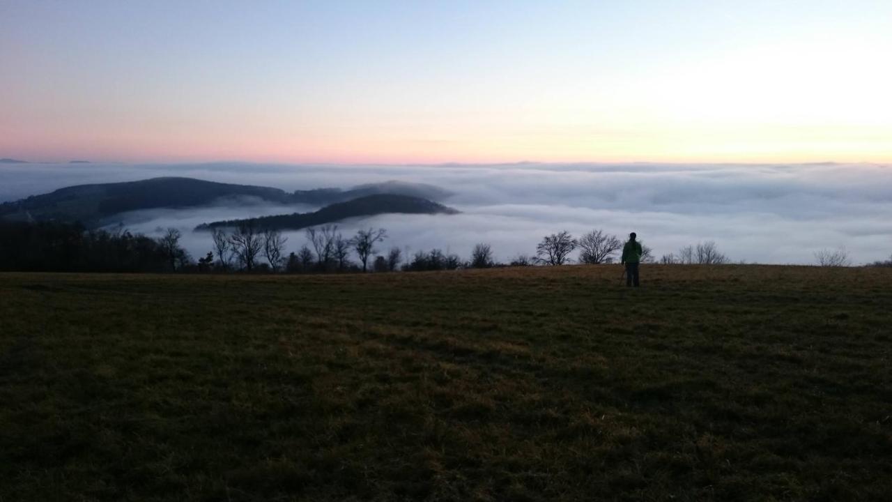 Nature Homestay Trenčín Eksteriør billede