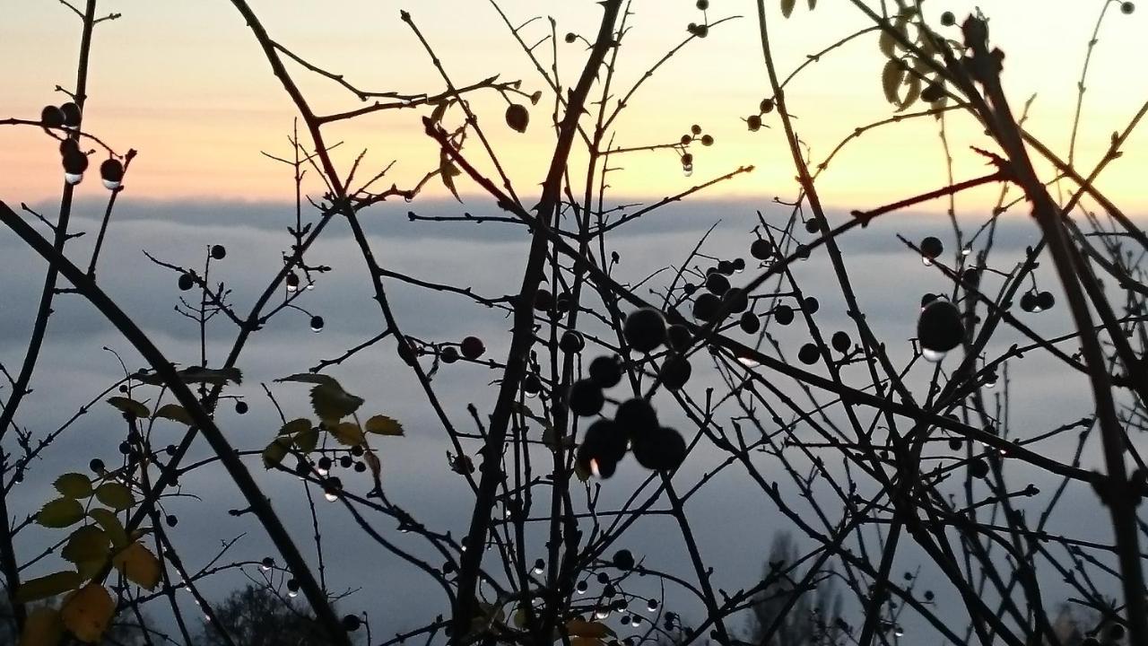 Nature Homestay Trenčín Eksteriør billede