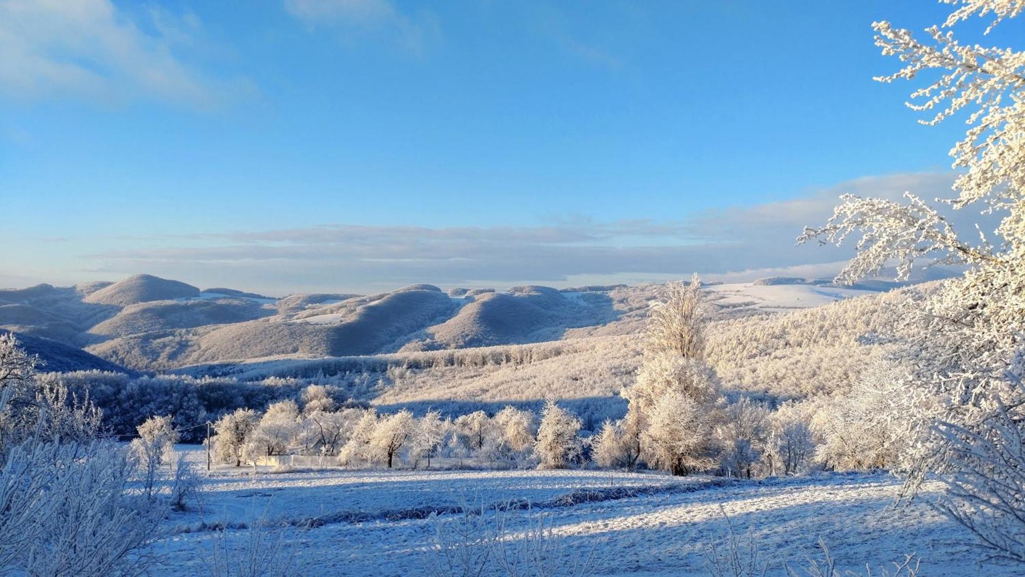 Nature Homestay Trenčín Eksteriør billede